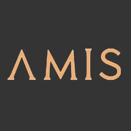AMIS Development logo