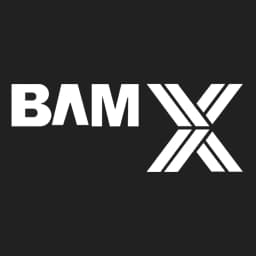 BAMX Development logo