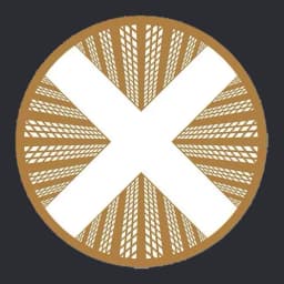 TownX logo